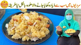 Everyones Favorite Halwa Recipe  Winter Special Halwa Recipe  Easy Recipe  Village Handi Roti [upl. by Bridges271]