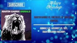 Animals vs Arsonist vs SBTL Martin Garrix UMF 2017 Mashup [upl. by Gnous]