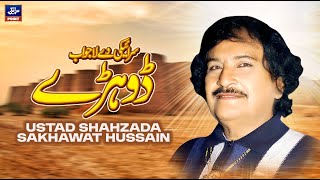 Shahzada Sakhawat Hussain Dhadi  Saraiki Program [upl. by Carla]