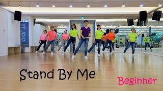 Stand By Me Line Dance Beginner Level [upl. by Nemracledairam]