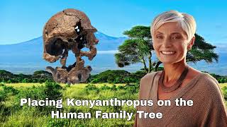 Kenyanthropus platyops Move over Lucy Australopithecus no longer at base of Genus Homo [upl. by Rosabelle]