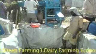 Silage Making in IndiaHyderabadAP [upl. by Aime]