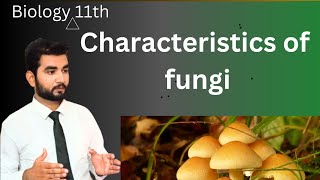 characteristics of Fungi class 11 biology MDCat  lecture 2  chapter 8 [upl. by Irved]