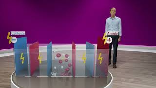 Patrik Stenner explains the electrodialysis  Evonik [upl. by Tnilk]