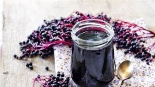 How to make a Elderberry Oxymel [upl. by Lezah]