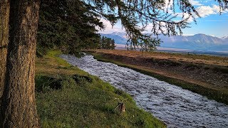 Горный Алтай Курайская степь [upl. by Riggall]