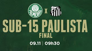 ÉH CAMPEÃO  PALMEIRAS 2 X 0 SANTOS  PAULISTA SUB15 2024 [upl. by Cown]