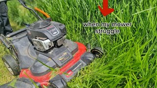 Overgrown Yard Mowed Using A 30 Inch Mower Not A Ride On satisfyingvideo overgrownyard [upl. by Harlan]