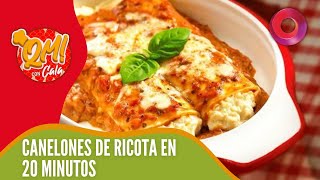 Canelones de ricota y espinaca con salsa boloñesa [upl. by Rebme220]