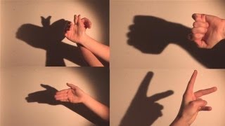 How To Make Shadow Puppets With Your Hand [upl. by Navannod]