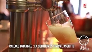 Santé  Calculs urinaires  la solution est dans lassiette  20160118 [upl. by Corder95]