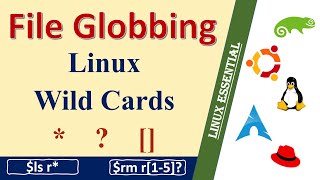 Master Linux Wildcards Uncover the Secret of File Globbing in Linux [upl. by Nassir]