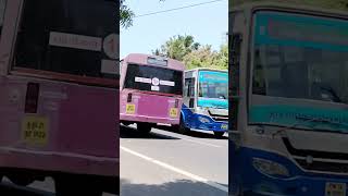 Blue and Brown TNSTC Buses bus tnstc tnstcbusvideo shortsvideo travel bluebus brownbus [upl. by Jayme470]