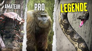 TOP 10 Des Plus 🤯 Gros Animaux de Tous Les Temps [upl. by Screens788]