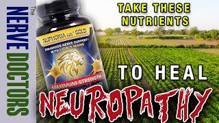 Take These Nutrients To Heal Neuropathy And HOW MUCH  The Nerve Doctors [upl. by Airot583]