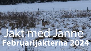 Jakt med Janne  Februarijakterna 2024 4K [upl. by Crin]