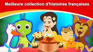 Meilleure collection dhistoires françaises  Histoire Pour Sendormir  Contes De Fées  Histoire [upl. by Sitto]