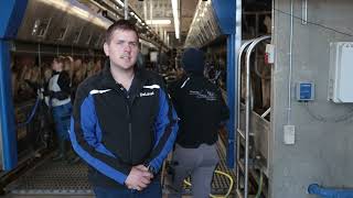 DeLaval P500 parlour  Rasmus Nielsen Denmark Danish language [upl. by Deutsch]