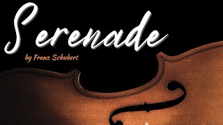 Serenade Ständchen for Violin amp Guitar SCHUBERT schubert violin instrumental [upl. by Ferdie]