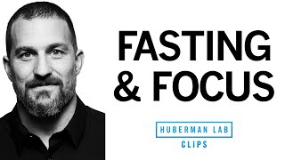 How Fasting Impacts Your Ability to Focus  Dr Andrew Huberman [upl. by Pasho]