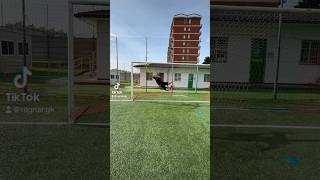 EXTREME GK TRAINING 🧤 gk goalkeepertraining football ball [upl. by Addiel68]