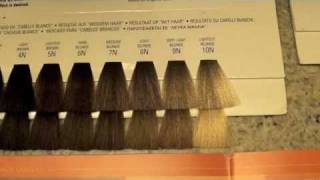 COSMETOLOGY HAIRCOLORING 3 COLOR LEVELS AND TONES [upl. by Apostles]