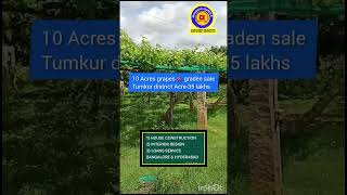 10 Acres grapes🍇 graden sale  Acre 35 lakhs only  tumkur district [upl. by Ronnholm33]