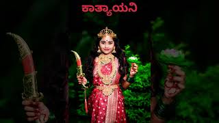 Day6of navaratri dress Devi costume Katyayani navadurge katyayani song videos makeuptutorial [upl. by Ycrem139]