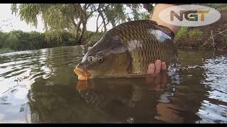 Guide to Carp Fishing Carp Care S1E6 Part 1 [upl. by Attenrad803]