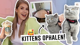 2 KITTENS OPHALEN 🐱😍  nieuwe baan  Verhuisvlog 5  Make Me Blush [upl. by Zsolway]