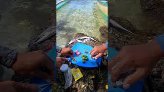 Ang sarap talaga magkilaw fishing seafood fish shortvideo shortsvideo shorts short [upl. by Hendrickson]