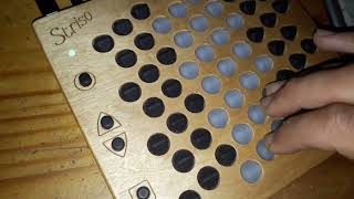 Exploring the octatonic scale on the Striso board [upl. by Aroda]