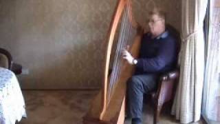 Donegal 36 string Harp by Denwar Harps [upl. by Kali31]