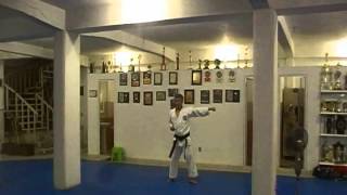 PINAN SHODAN SENSEI HERNANDO HIDALGO SHIKARA KARATE DO [upl. by Yllrebmik970]