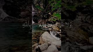 Beutifull Arabic Naat 💗 Status 🌹 Whatsapp Status 🍂 Naat 🌻 shorts [upl. by Suoilenroc]