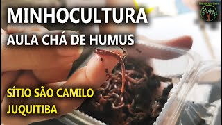 MinhoculturaChá de Humus quartaa Parte Curso realizado no Sítio São Camilo em Juquitiba [upl. by Aili]