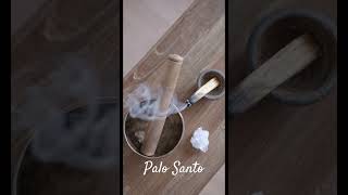 Palo Santo et su puissance ésotérique [upl. by Akiehsat]