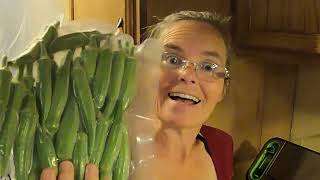 Freezing Okra whole without blanching [upl. by Dowell]