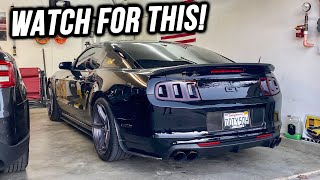 What To Look For When Buying 1114 Mustang GT 50 [upl. by Gusti]