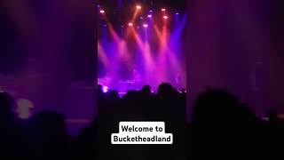 Buckethead Live 2024 bucket [upl. by Cannell203]