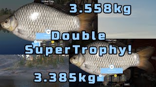 Catches 00005  2 x Super amp 10 Trophies Gibel Carp  Ladoga Lake [upl. by Asirac]