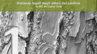 Art892 Codice Civile  Distanze legali degli alberi dal confine [upl. by Furr63]