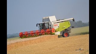 CLAAS lexion760 et deux joskin 3 essieux à la moisson [upl. by Ahsitruc]