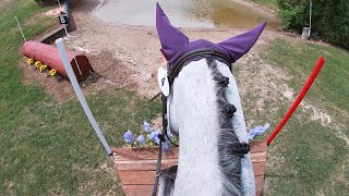 HELMET CAM XC Finnys Macho Man Open Preliminary  2024 Pine Hill Spring Horse Trials [upl. by Akiras]