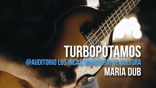 playliztpe  Turbopótamos  María Dub [upl. by Annotahs151]