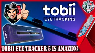 The Tobii Eye Tracker 5 will change the way you fly  Flight simulation immersion game changer [upl. by London]