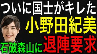 【臨時】小野田紀美が石破総理と森山幹事長に退陣要求！青山繁晴と高市早苗が認める最後の国士がついに動き出す！【JAPAN 凄い日本と世界のニュース】 [upl. by Nepil56]