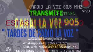 RADIO LA VOZ 905 MHz [upl. by Ynnor]