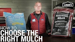 How To Choose the Right Mulch  Mulch Buying Guide [upl. by Fidela275]