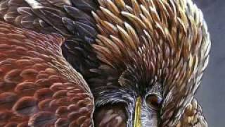 My WithinPower Animal  The Golden eagle [upl. by Eitsyrhc]